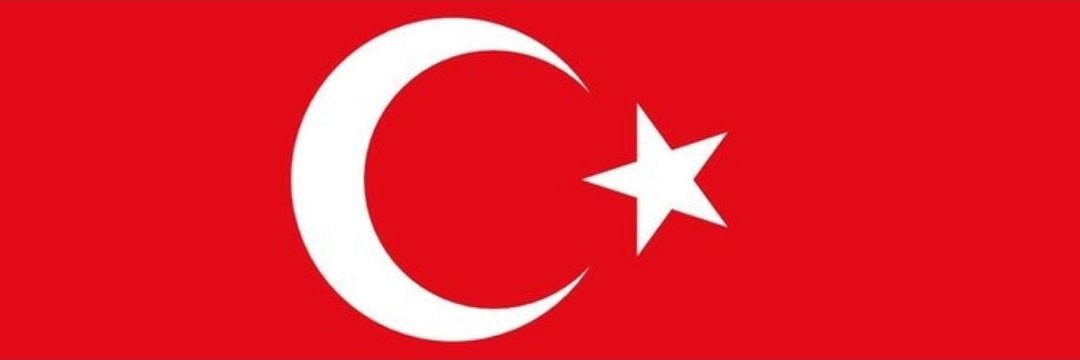Berk's banner
