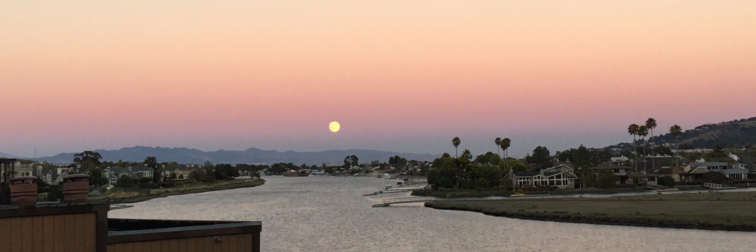 Kat Lord-Levins banner