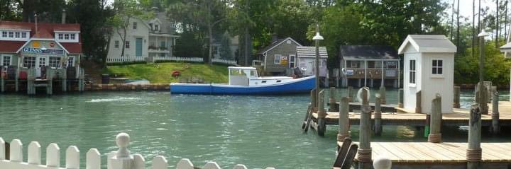 Slowly Losing My Mind banner