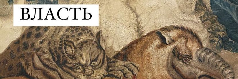 mushroomkrd's profile banner image
