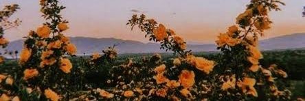 AfrikaansMeisi's profile banner image