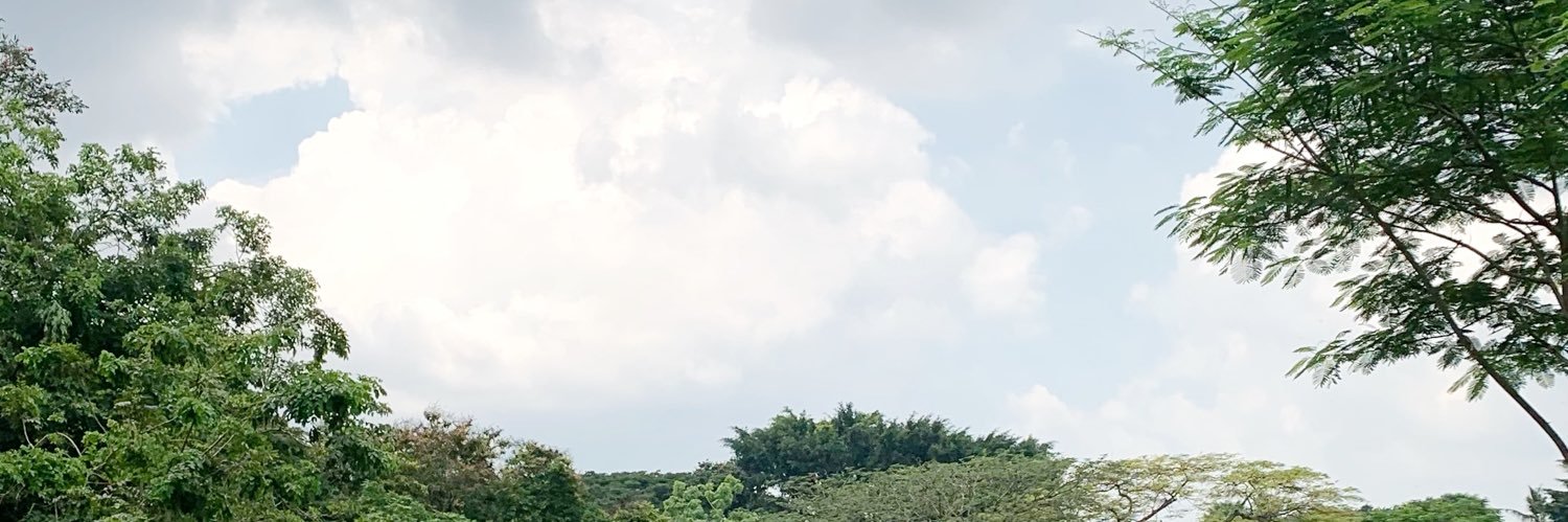 ohana_______'s profile banner image