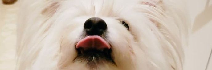 ejguzman94's profile banner image