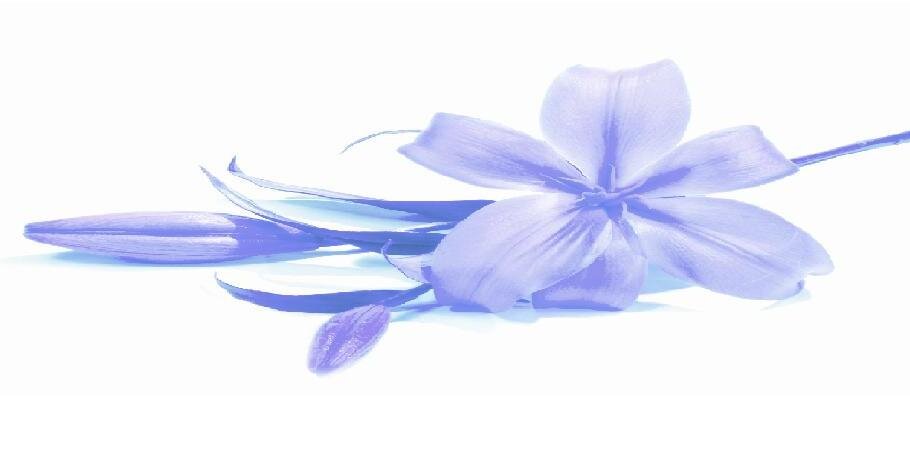 _Cbeauty's profile banner image