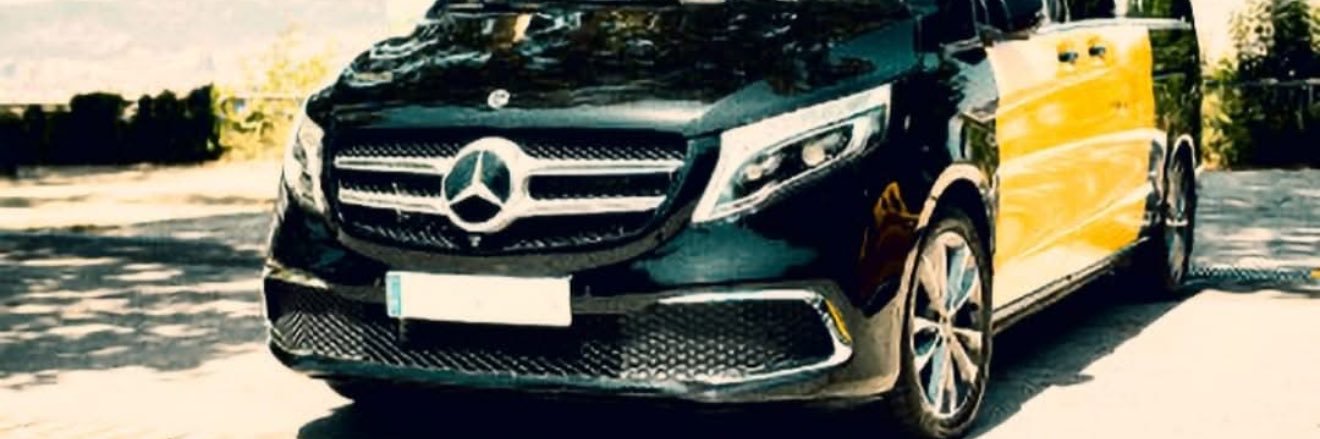 LlumVerd's profile banner image
