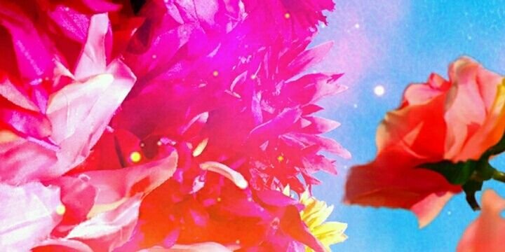 lovesshingo's profile banner image