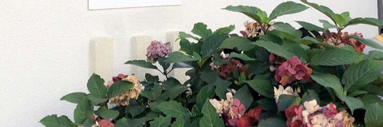 iH9_1's profile banner image