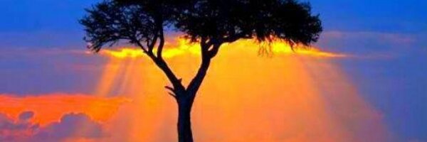 IBtalking Profile Banner