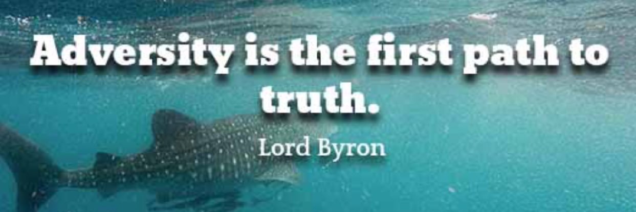 journalismisdead banner