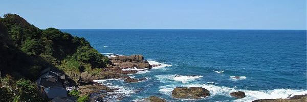 sumo_maya Profile Banner