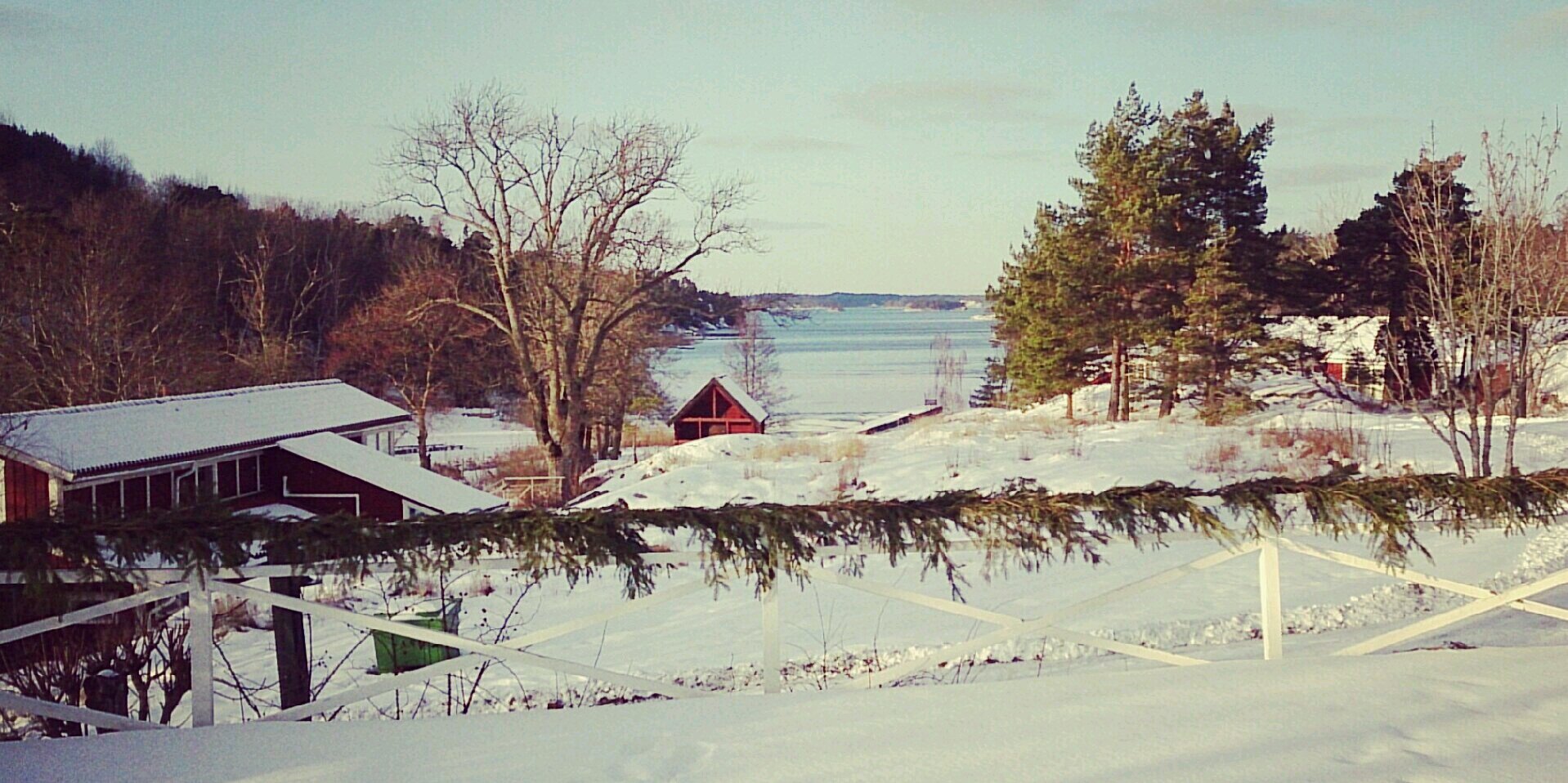 Ragnarson 🦅⚒ banner