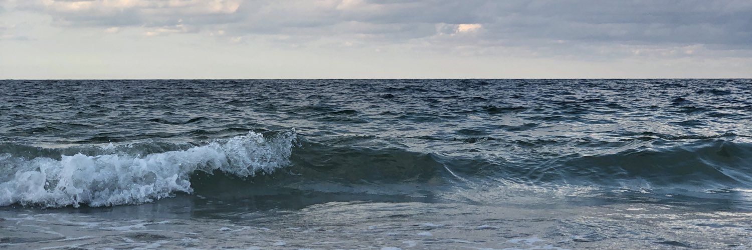 amberlyalene's profile banner image