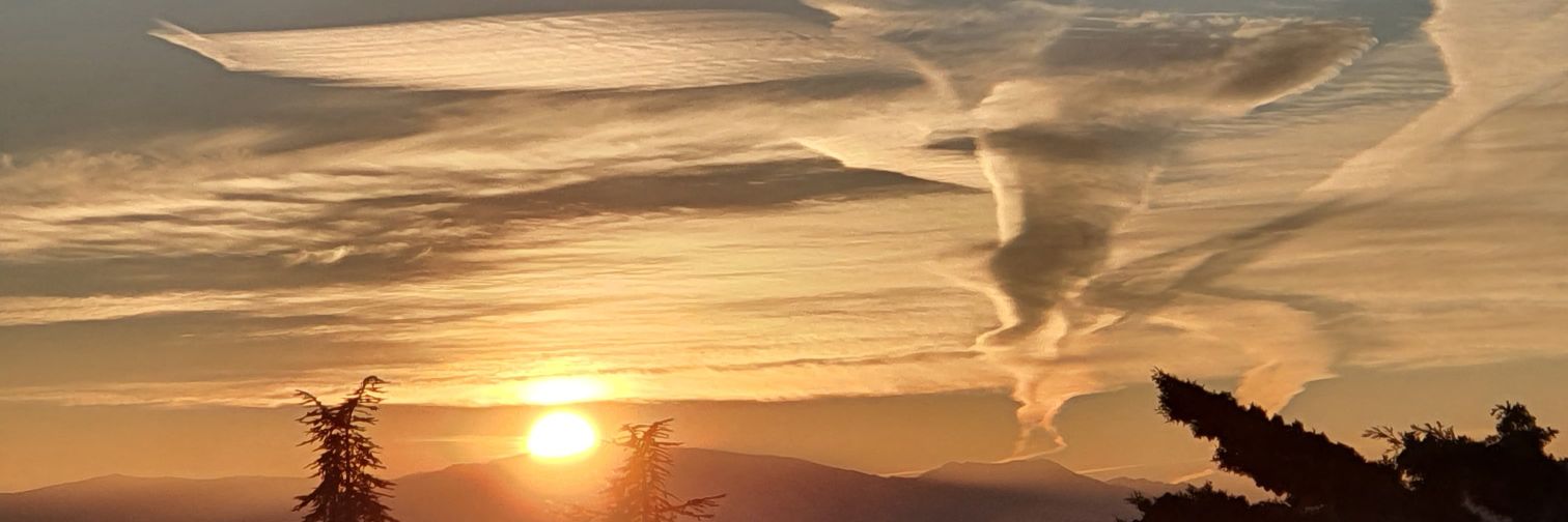 PedroNeira_'s profile banner image