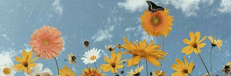 Ida_NFaiz's profile banner image