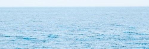 undo_daydream's profile banner image