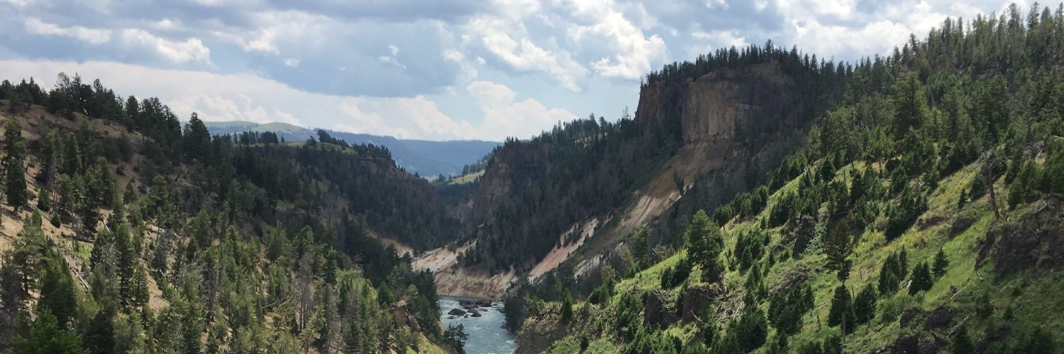 Kyle Steiger, MD banner