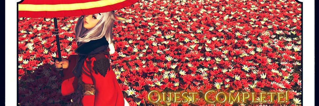 orangecat007's profile banner image