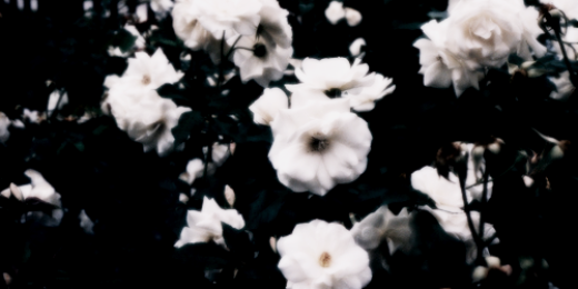 jessicaext's profile banner image