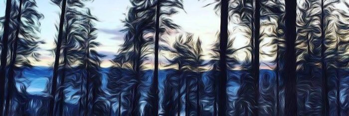 Lowellh's profile banner image