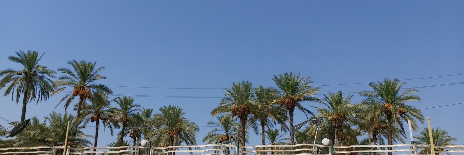 tassijohn's profile banner image