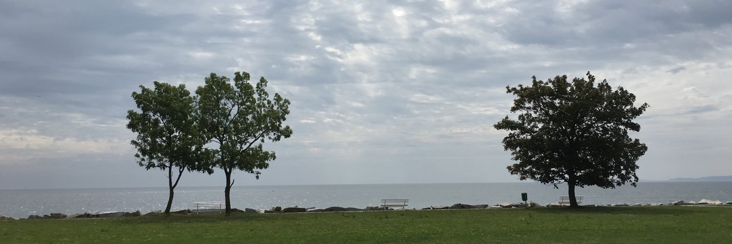 Emil Pennlöv banner