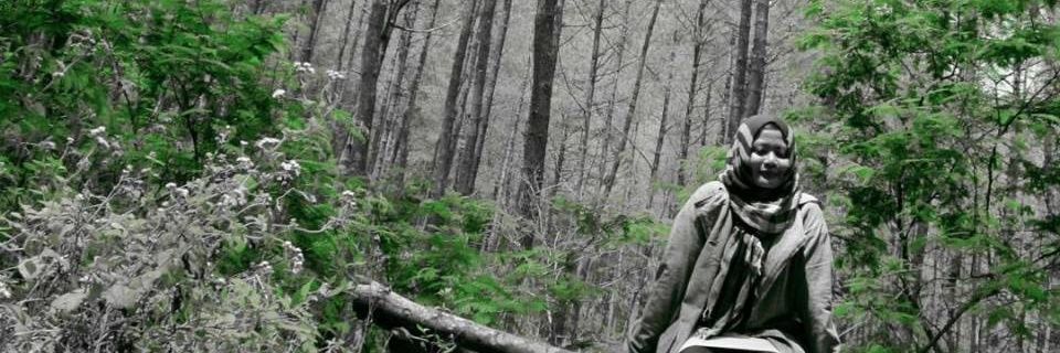 drositta's profile banner image