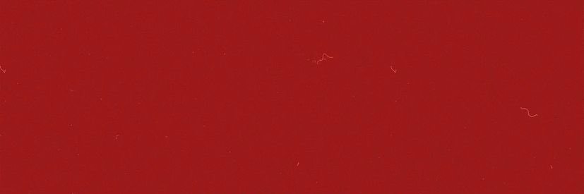 DYANlNG's profile banner image