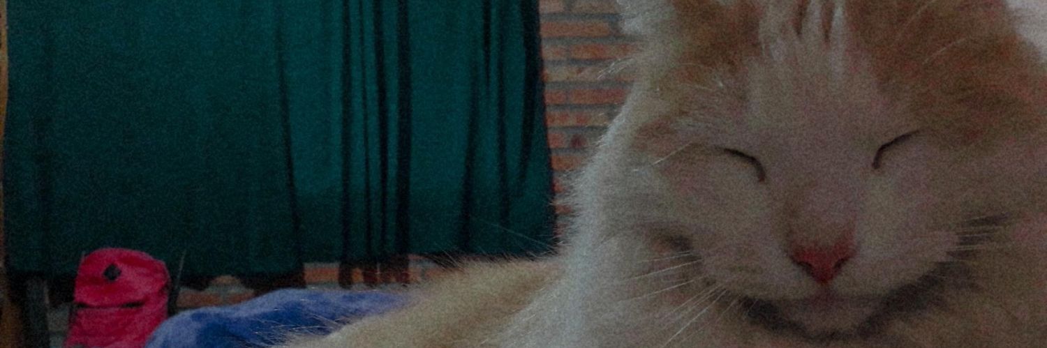 PupeMdn's profile banner image