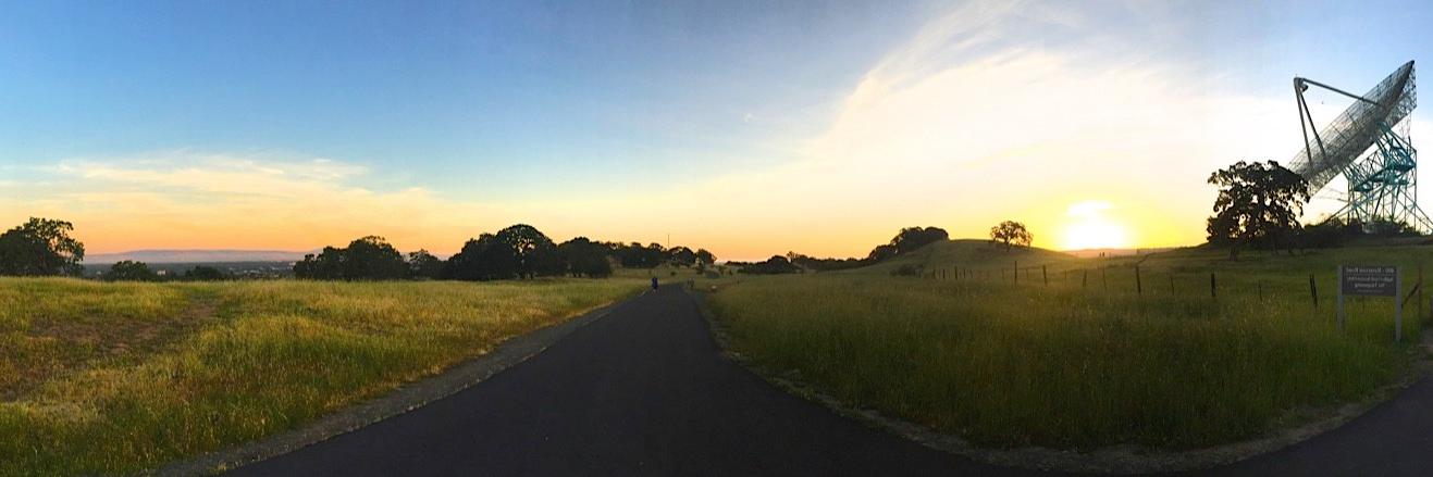 Frido van Driem banner