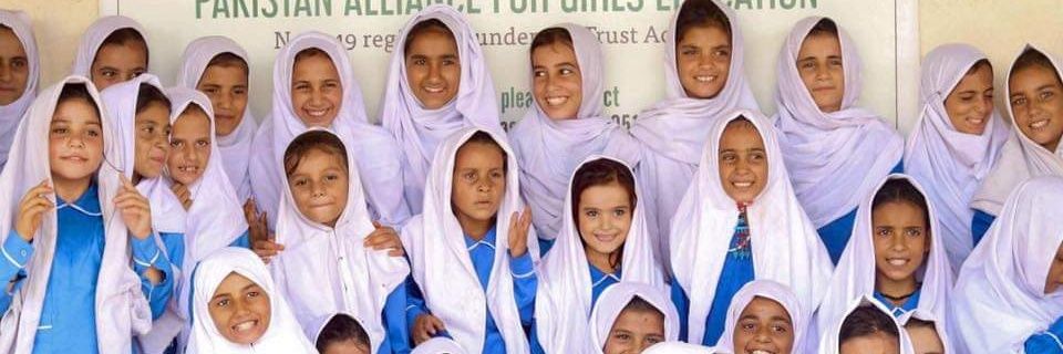 Fajer Rabia Pasha banner