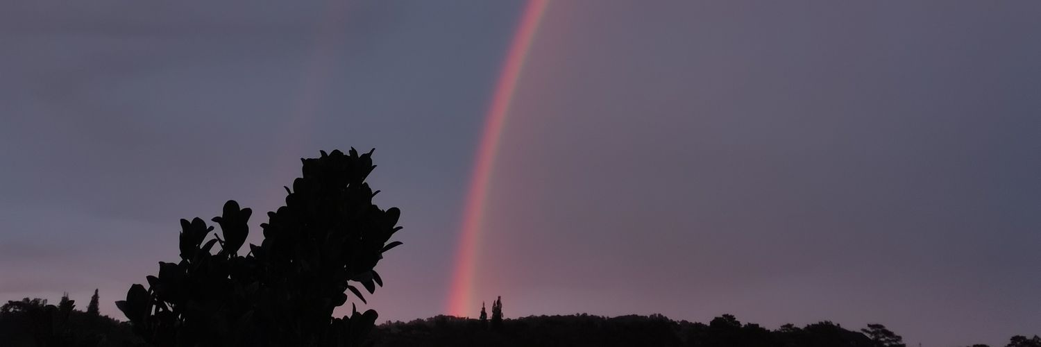 _maybemady's profile banner image