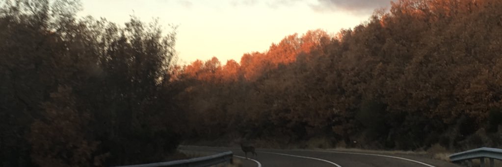 Xeropah's profile banner image