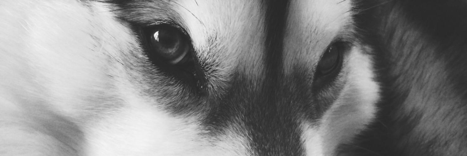 MikeyLees1's profile banner image