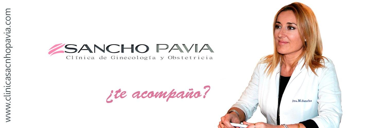 SanchoPavia's profile banner image