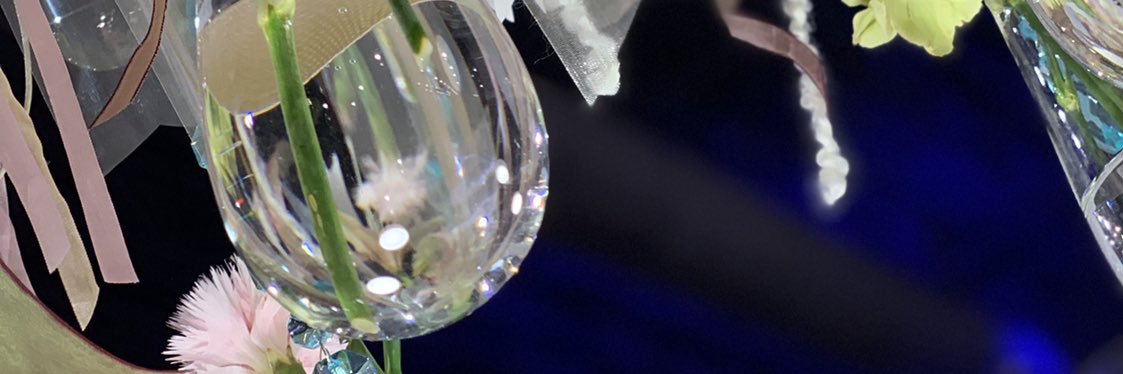jcaracciolo's profile banner image