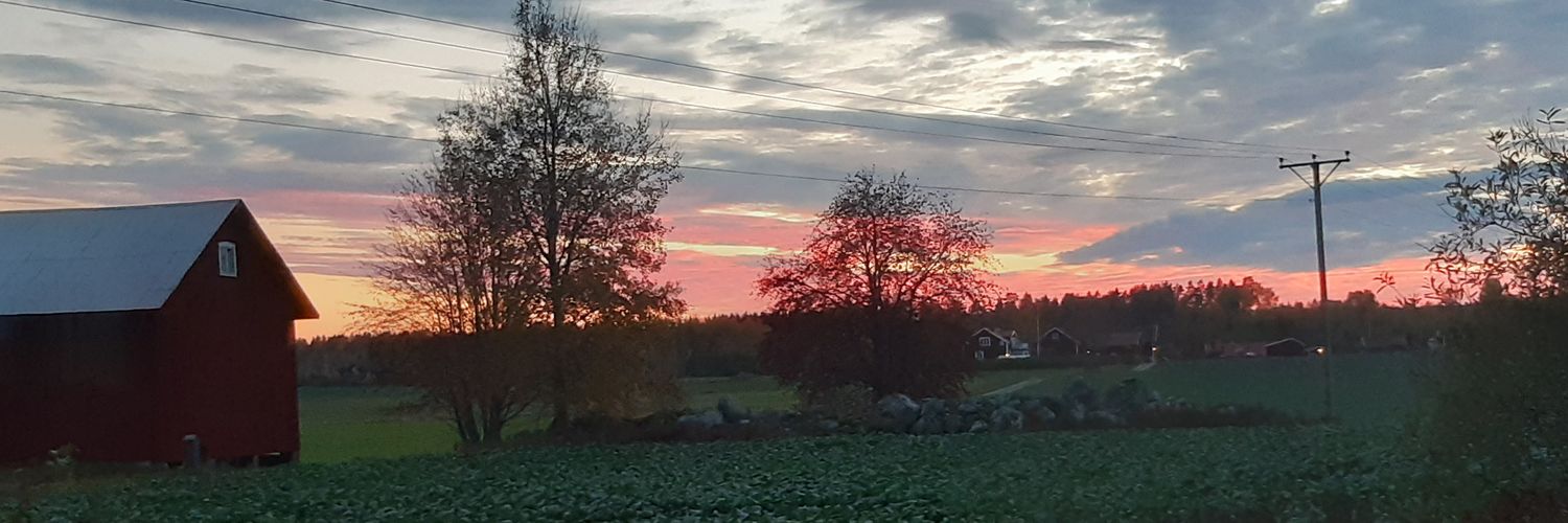 oombedd's profile banner image
