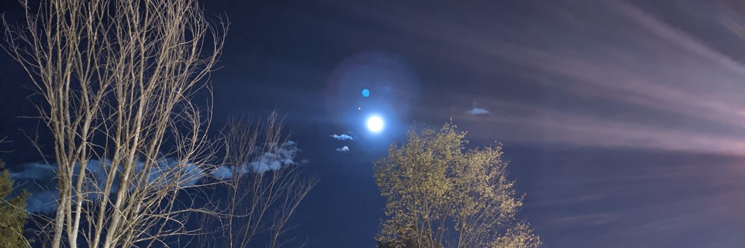 grafmoonlight's profile banner image
