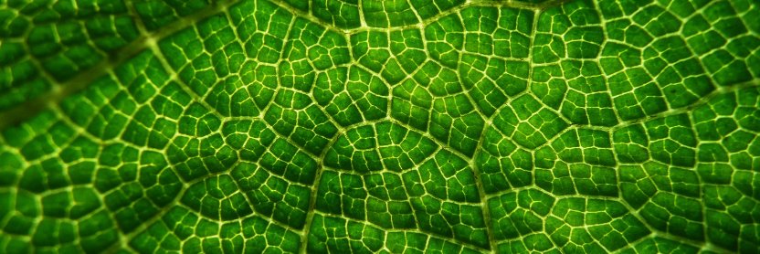 Adam_Mott's profile banner image