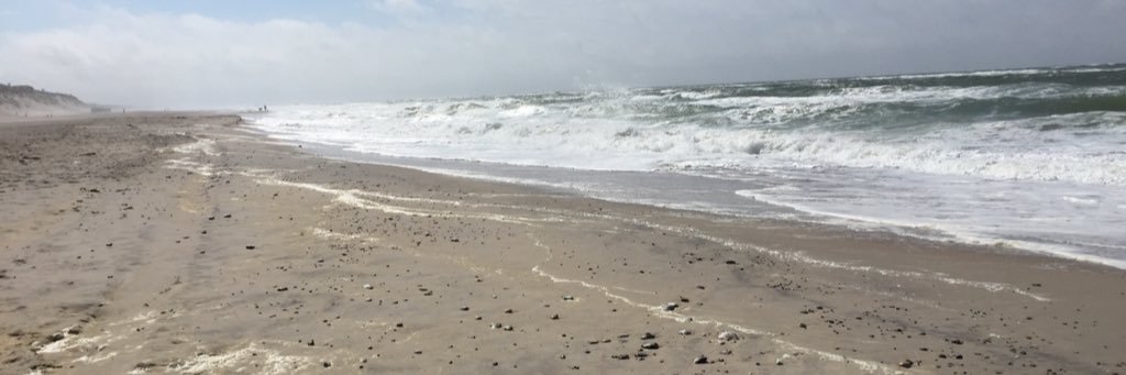 Peter von Rohr banner