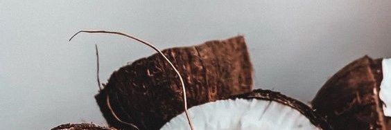 autbitterm's profile banner image