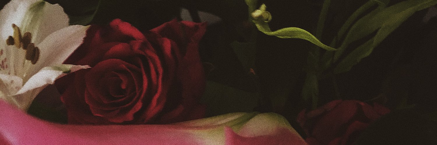 elliekwright's profile banner image
