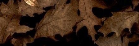 𝑛𝑎𝑛𝑎 🧸 banner