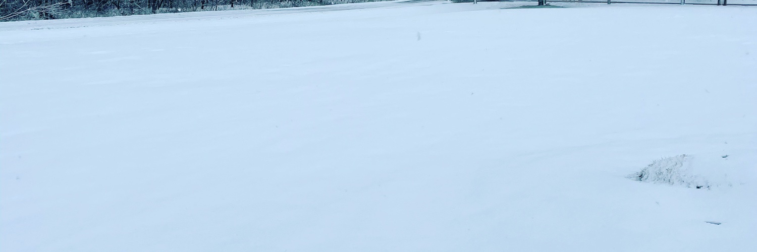 MasterpBlue's profile banner image