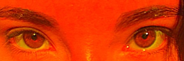 lucciregala's profile banner image
