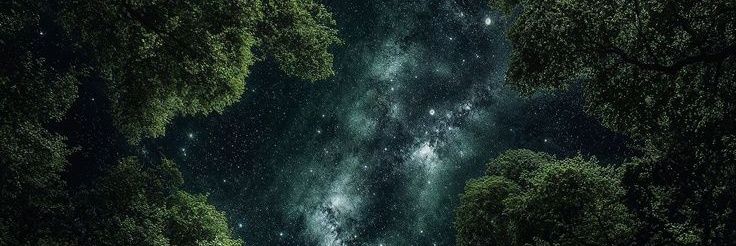 InesFloresMM's profile banner image
