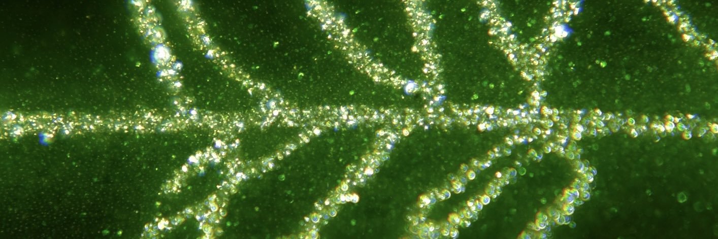 かくたともゆき banner