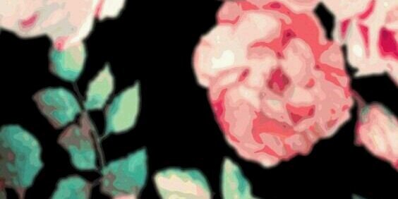 _mmiu_'s profile banner image