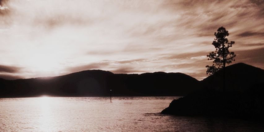 stylesgdrs_'s profile banner image