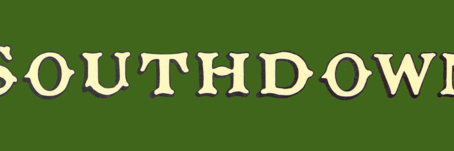 SouthdownMS100's profile banner image