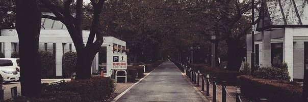 nastya_na2's profile banner image